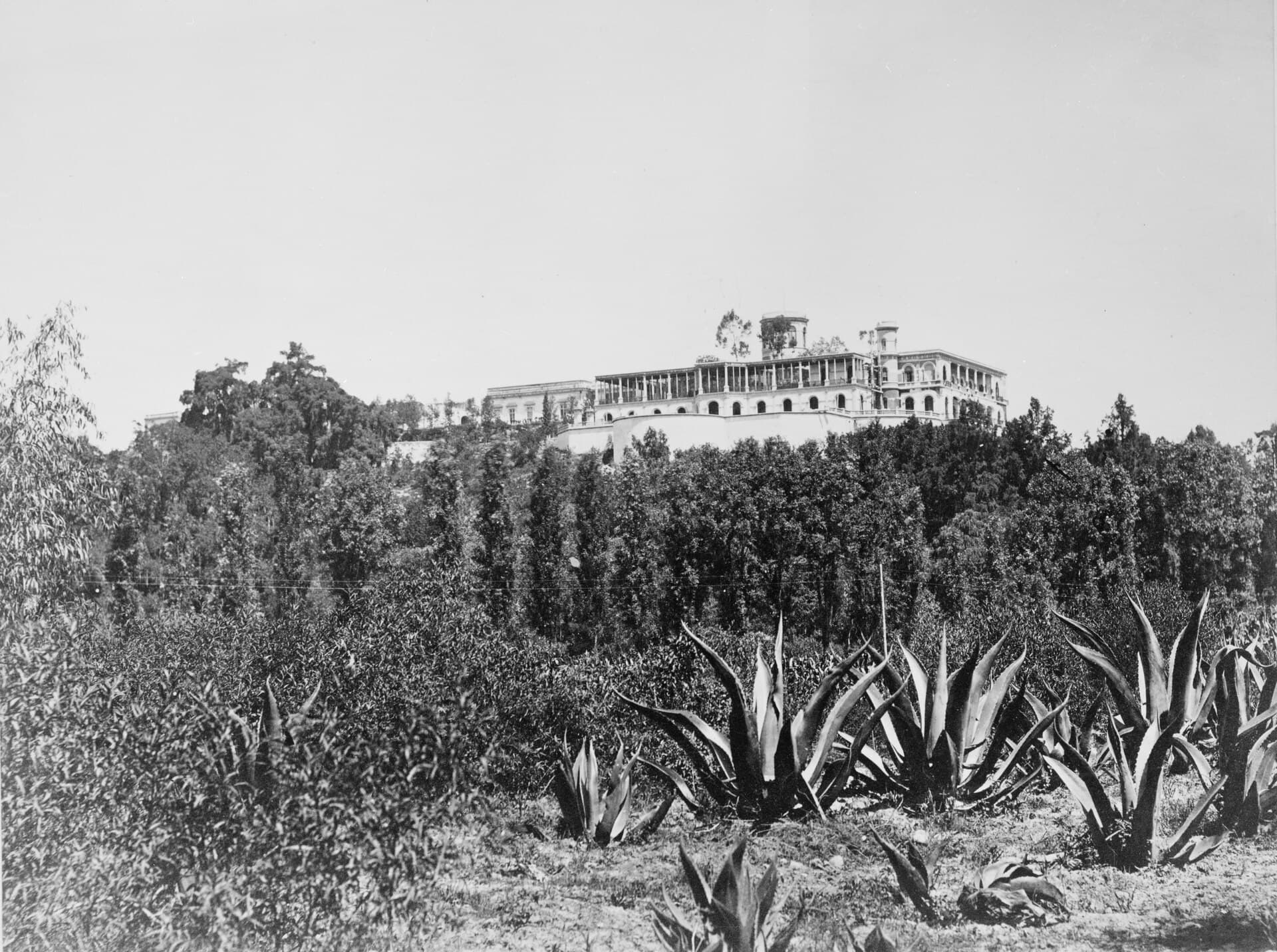 El Castillo de Chapultepec visto desde el poniente, hacia 1880-1900, con los agaves en primer plano.